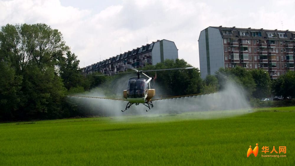 大范围消杀开始！米兰近郊卫生局急发通告，居民关紧门窗防毒蚊 …